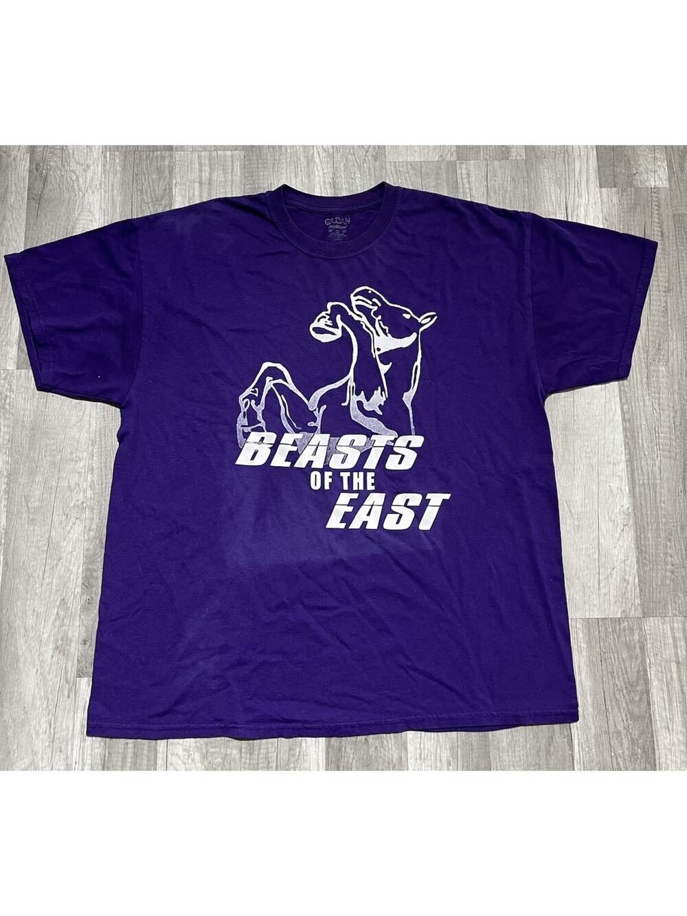 Vintage Gildan Purple Beast of the East Horse T Shirt Size XXL